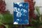 Bouquet de fleurs bleues, 2020, cyanotype 8