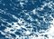 Diptyque de paysage nautique de Deep Blue Sandy Shore, 2020, cyanotype 8