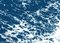 Nautisches Landschafts-Diptychon von Deep Blue Sandy Shore, 2020, Cyanotype 8