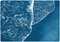 Pacific Foamy Shorelines, 2020, Cyanotype, Image 1