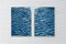 Tranquil Water Patterns, 2020, Cyanotype 2