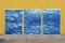 Colorado River Triptych of Refreshing River Flow, 2020, Cyanotype, Set of 3 6