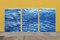 Colorado River Triptych of Refreshing River Flow, 2020, Cyanotype, Set of 3, Image 6