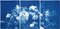 Trittico floreale di grandi fiori, 2020, Cyanotype, Immagine 1