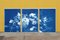 Floral Triptych of Large Floral Bouquet, 2020, Cyanotype 3