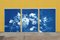 Floral Triptych of Large Floral Bouquet, 2020, Cyanotype, Image 3