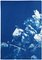 Triptyque Floral de Grand Bouquet Floral, 2020, Cyanotype 4