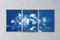 Floral Triptych of Large Floral Bouquet, 2020, Cyanotype 7