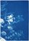 Trittico floreale di grandi fiori, 2020, Cyanotype, Immagine 6