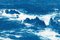 Oregon Coast Seascape, 2020, Cyanotype, Image 7