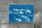 Paysage Marin de l'Oregon, 2020, Cyanotype 2
