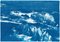 Paesaggio marino di Oregon Coast, 2020, Cyanotype, Immagine 1