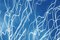 Fireworks Lights in Sky Blue Diptych, Cyanotype on Watercolor Paper, 2020 7