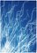 Fireworks Lights in Sky Blue Diptych, Cyanotype on Watercolor Paper, 2020 5
