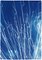 Fireworks Lights in Sky Blue Diptych, Cyanotype on Watercolor Paper, 2020 4