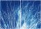 Fireworks Lights in Sky Blue Diptych, Cyanotype on Watercolor Paper, 2020 1