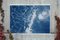 Riva sabbiosa dei Caraibi, Cyanotype su carta acquerello, 2019, Immagine 12