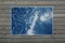 Riva sabbiosa dei Caraibi, Cyanotype su carta acquerello, 2019, Immagine 4