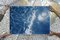 Riva sabbiosa dei Caraibi, Cyanotype su carta acquerello, 2019, Immagine 7