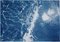 Riva sabbiosa dei Caraibi, Cyanotype su carta acquerello, 2019, Immagine 1