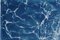 Riva sabbiosa dei Caraibi, Cyanotype su carta acquerello, 2019, Immagine 6