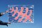 Foglie galleggianti su una piscina a forma di griglia, Beach House Art, 2020, Media misti, Immagine 7
