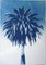 Marrakech Majorelle Palm, Cyanotype on Watercolor Paper, 2019, Image 1