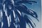 Marrakesch Majorelle Palm, Cyanotypie auf Aquarellpapier, 2019 9