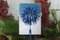 Marrakech Majorelle Palm, Cyanotype on Watercolor Paper, 2019 2