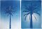 Duo of Egyptian Palms, Cyanotype on Paper, 2019 1