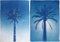 Duo of Egyptian Palms, Cyanotype on Paper, 2019, Image 1