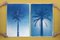 Duo of Egyptian Palms, Cyanotype on Paper, 2019, Immagine 6
