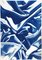 Motivo classico in seta blu su carta da acquerello, cianotipo, 2019, Immagine 1