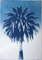 Desert Palm Trio, Cyanotype sur Papier Aquarelle, 2019 5