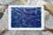 Courants de l'Océan Pacifique, Cyanotype on Watercolour, 2019 7