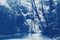 Cyanotype escandinavo de bosque encantado en papel de acuarela, 2019, Imagen 7
