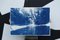 Cyanotype escandinavo de bosque encantado en papel de acuarela, 2019, Imagen 6