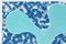 Coupe Feuille Turquoise sur Fond Abstrait Nuageux, Cyanotype, 2020 7