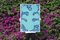 Coupe Feuille Turquoise sur Fond Abstrait Nuageux, Cyanotype, 2020 5
