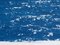 Küstenblaue Cyanotypie der Tageszeit Nautische Malerei Ufer, 2020 6