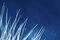 Nighttime Fireworks Flaring Nocturnal Skyline Summer Night Cyanotype, 2020 4