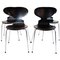 Black Ant Model 3101 Dining Chairs by Arne Jacobsen for Fritz Hansen, 2002, Set of 4 1
