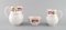 Tea Service for 7 People in Porcelain from Royal Worcester, England, 1983, Set of 32 2