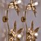 Willy Daro Style Brass Double Flower Wall Lights, 1970s 11