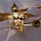 Willy Daro Style Brass Double Flower Wall Lights, 1970s 12