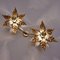 Willy Daro Style Brass Double Flower Wall Lights, 1970s 3