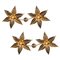 Willy Daro Style Brass Double Flower Wall Lights, 1970s 1