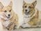 Welsh Corgi, 1994, Colored Pencil and Crayon 1