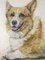 Welsh Corgi, 1994, Buntstift und Wachsmalstift 4