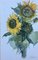 Maria-Therese Tietmeyer, Sunflower Kronberg, Watercolor 3